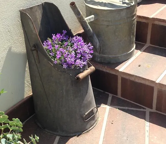 Apartmán Premium 